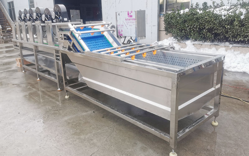 How To Use Fruit And Vegetable Washing Machine