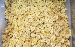 Is Plantain Chips Business Profitable？