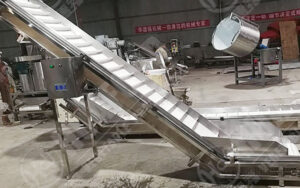Garlic Powder Manufacturing Production Process