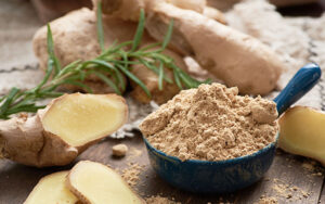 Ginger Powder Manufacturing Business