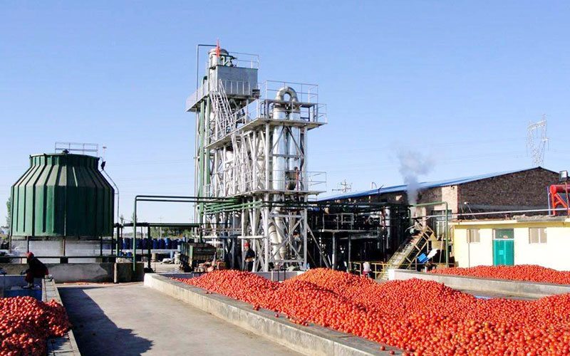 How Is Tomato Paste Made In A Factory