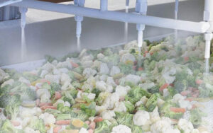Vegetable Freezing Process