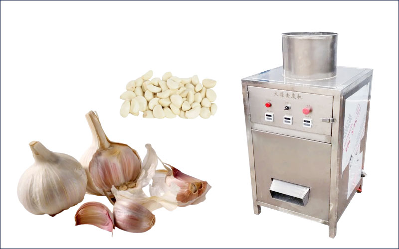 garlic peeling machine