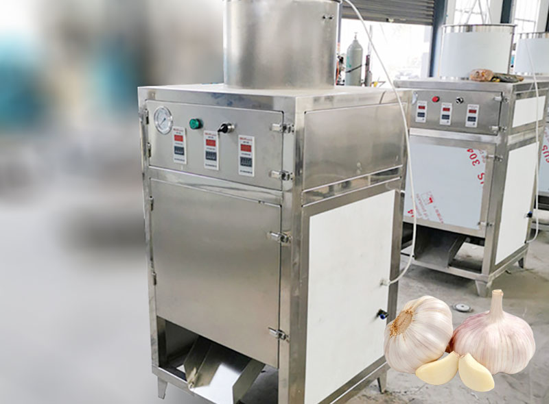 garlic peeling machine in factory