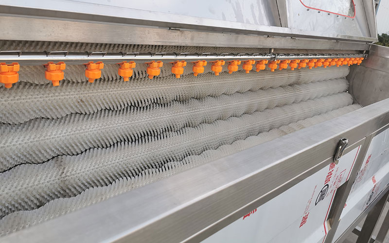 ginger washing and peeling machine