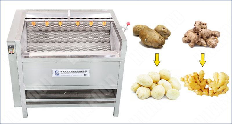 potato washing and peeling machine