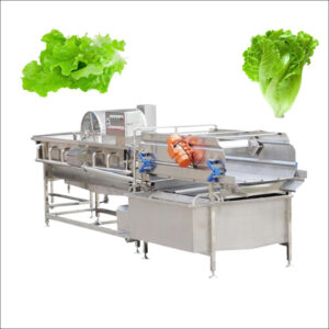 lettuce washing machine