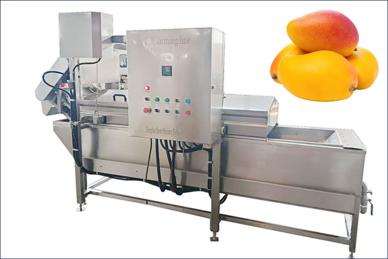 mango hot water treatment machine