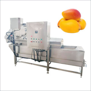 mango hot water treatment machine