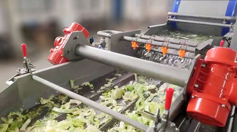salad washing machine
