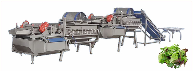 lettuce washing machine