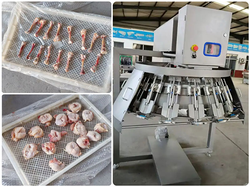 chicken leg deboning machine