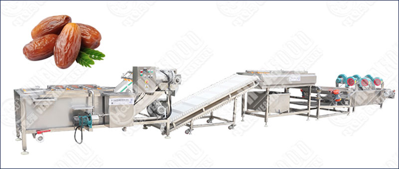dates fruits washing and drying machine
