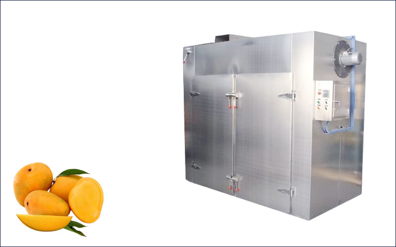 mango dryer