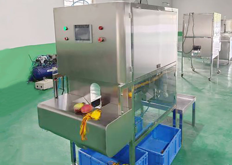 mangp peeling machine details in factory