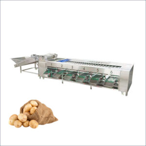 potato grading sorting machine