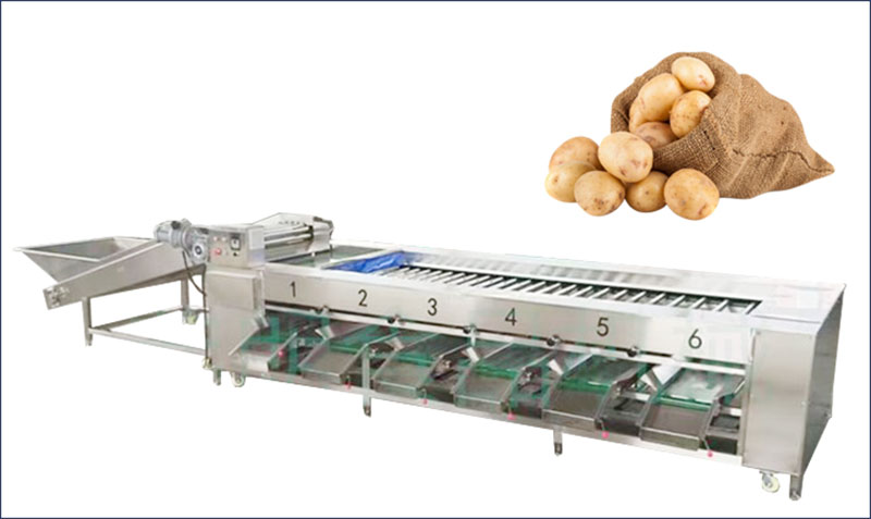 potato sorting machine