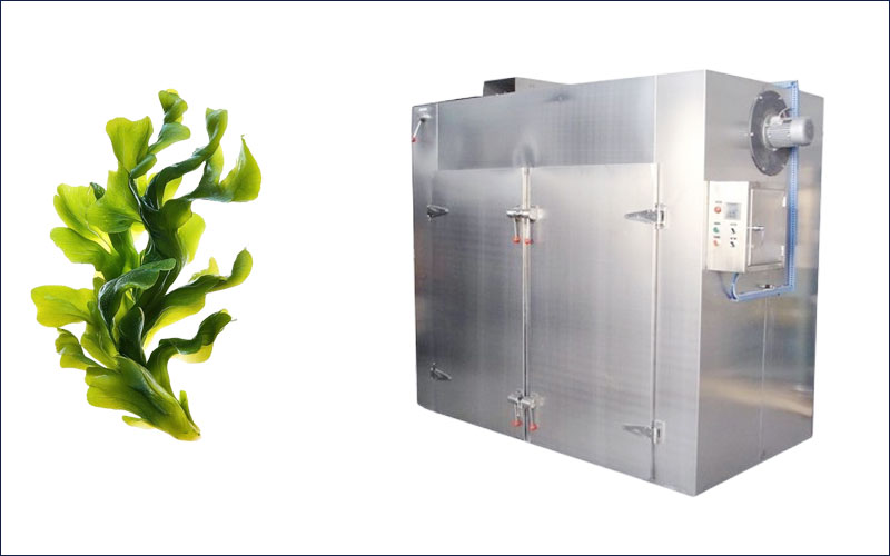 seaweed drying machine
