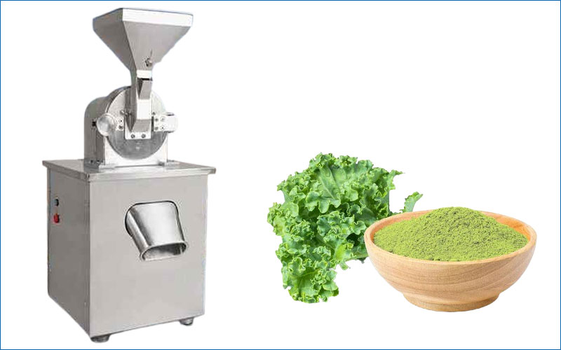 kale powder grinder