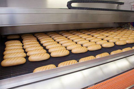 pasta processing machinery