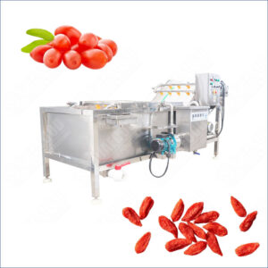 wolfberry washing machine