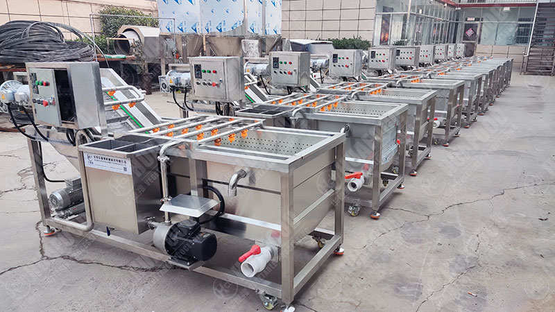 wolfberry washing machine in factory